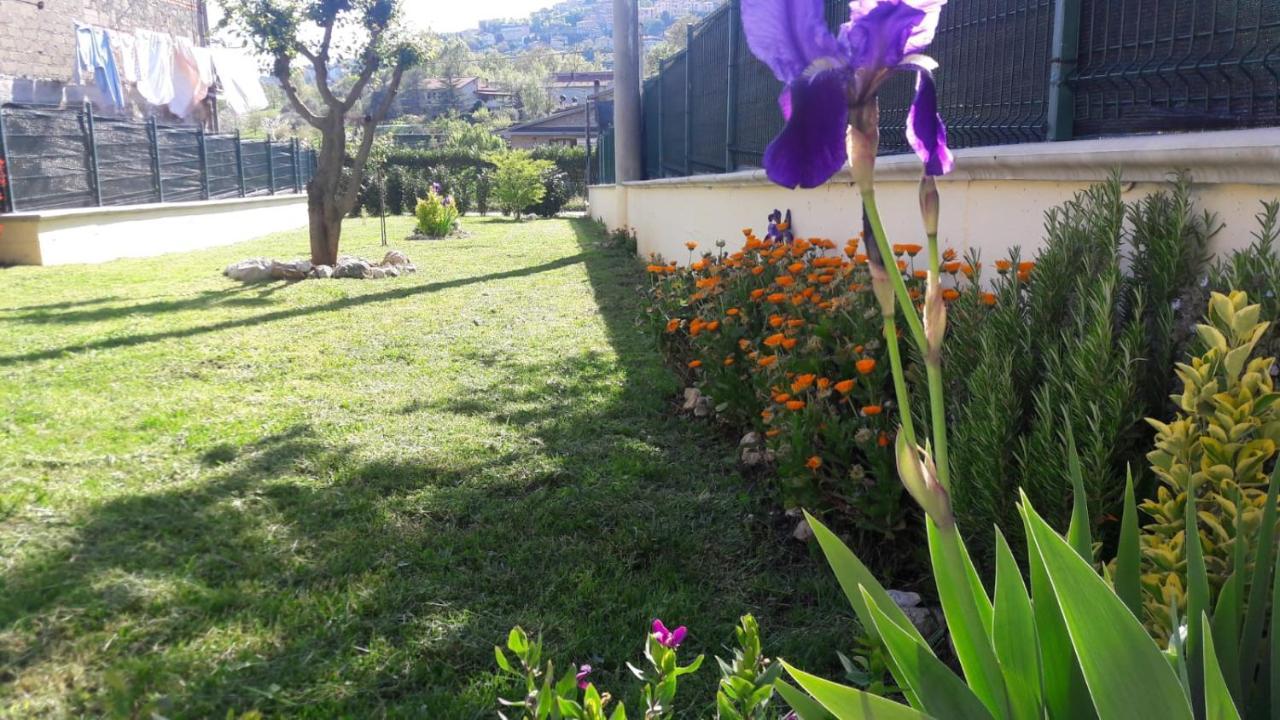 La Casina Gialla Villa Veroli Exterior foto