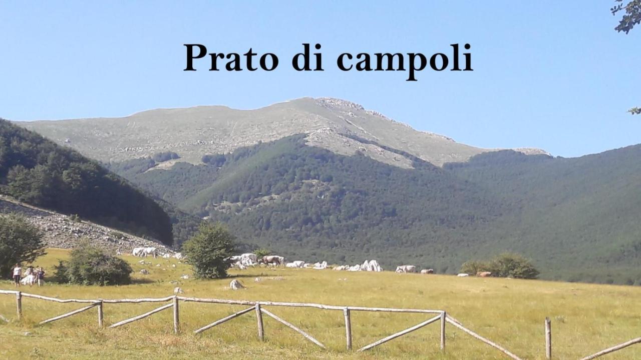 La Casina Gialla Villa Veroli Exterior foto